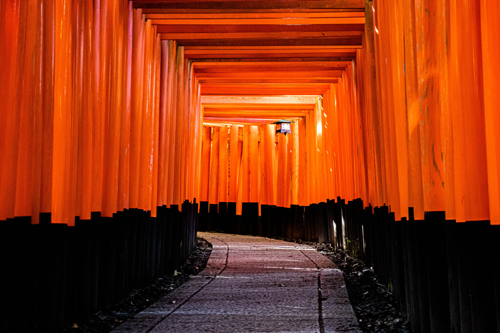 朝の千本鳥居で　Ⅸ