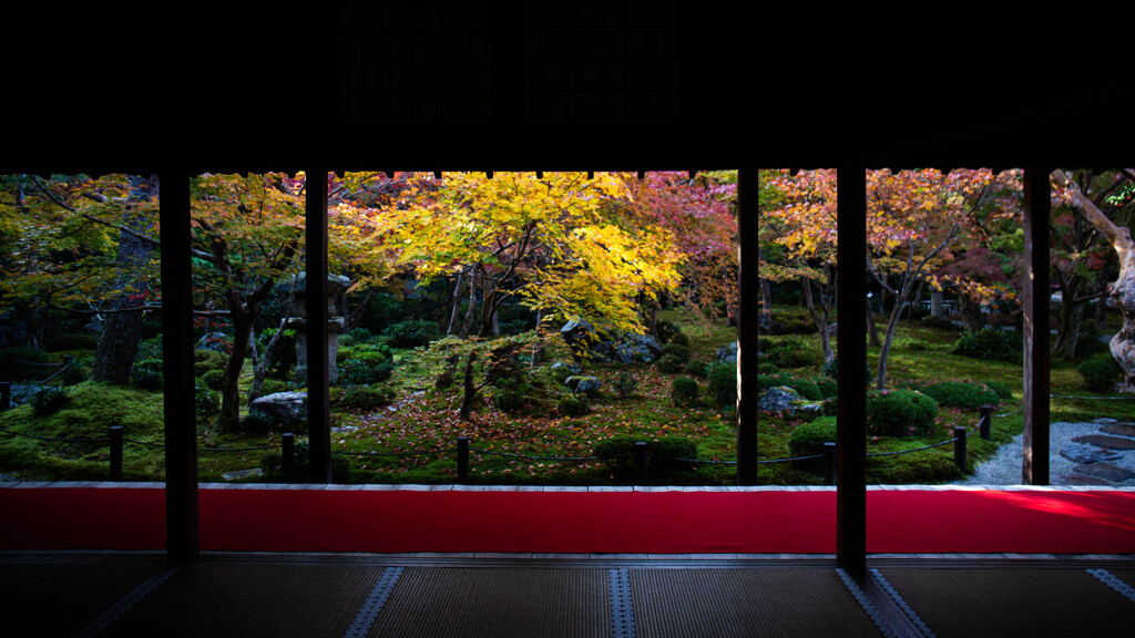 晩秋の圓光寺十牛之庭　Ⅰ