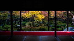 晩秋の圓光寺十牛之庭　Ⅰ