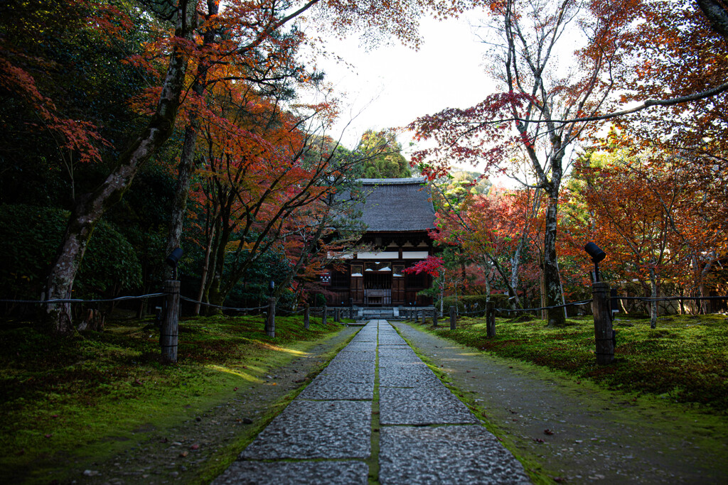 晩秋の一休寺　Ⅲ