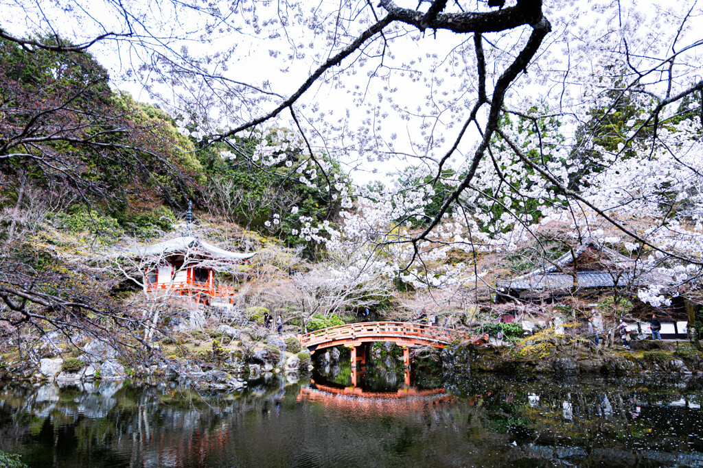 醍醐寺の春　Ⅰ