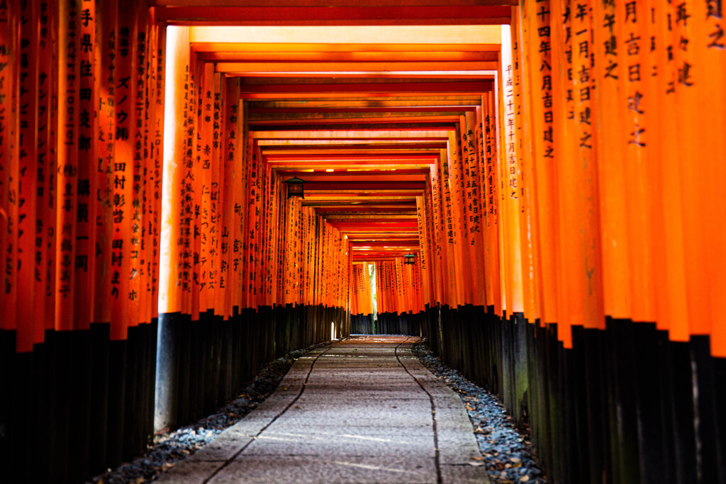 朝、千本鳥居で　Ⅶ