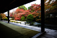 天授庵の紅を切り撮る。