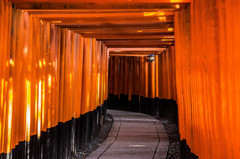 千本鳥居のその先へ。