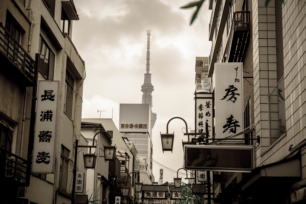 浅草慕情　①