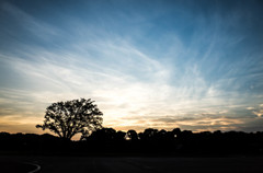 皇居外苑の夕景