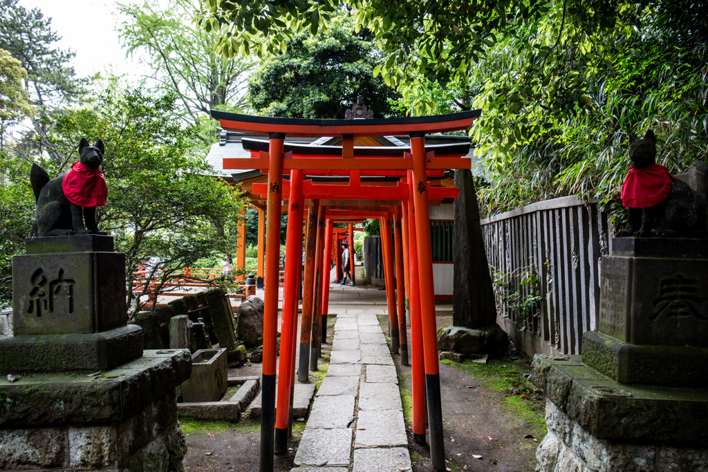 根津神社の乙女稲荷