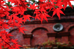 水路閣の紅葉