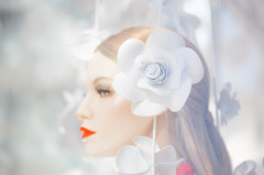 Cool Beauty