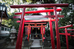 赤い鳥居
