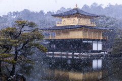 冬の金閣寺