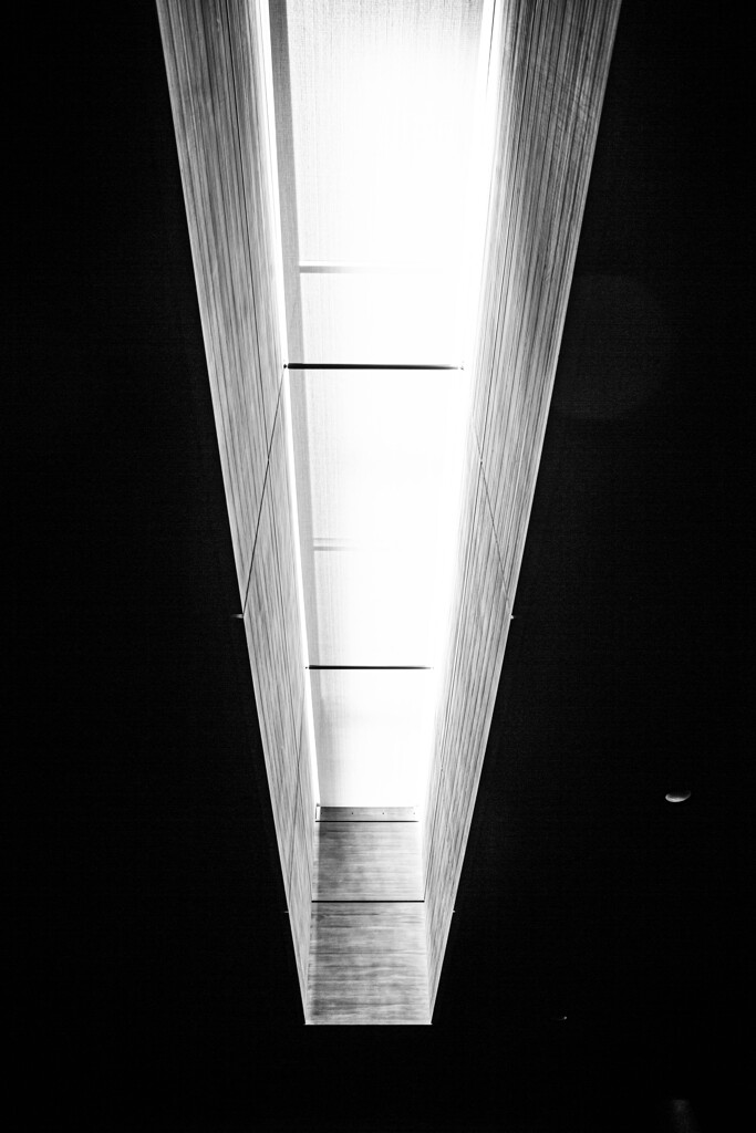Black and White Ⅲ
