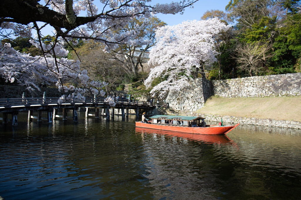 彦根城の春　Ⅱ