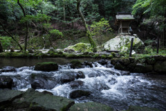 上賀茂神社にて　Ⅱ