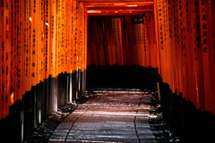 朝の千本鳥居で　Ⅳ