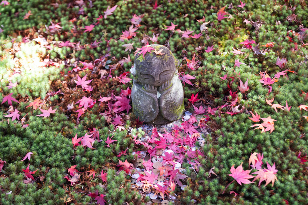 圓光寺の晩秋