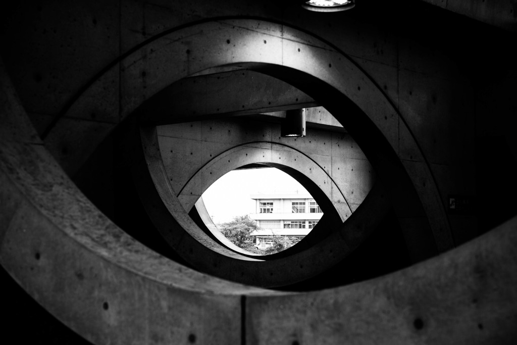 Eye