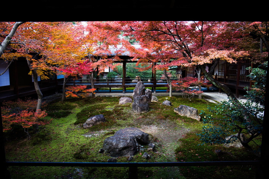 建仁寺で。
