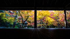 晩秋の圓光寺十牛之庭　Ⅱ