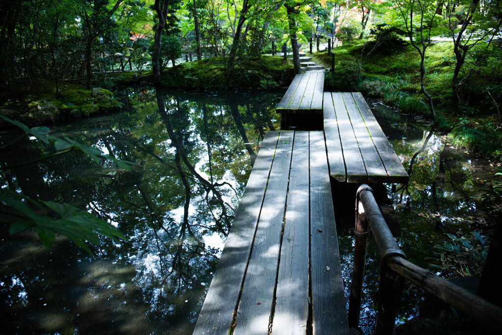 天授庵庭園の池　Ⅲ