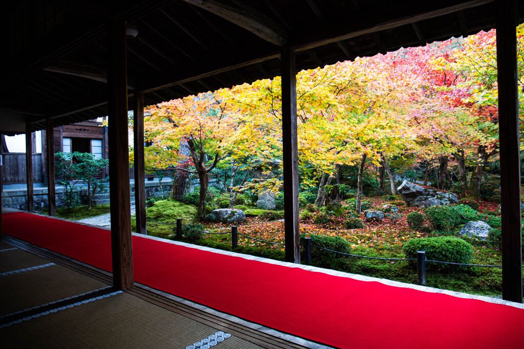 晩秋の圓光寺で