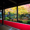 晩秋の圓光寺で