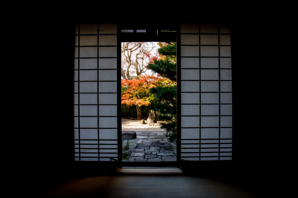 晩秋の光明院にて　Ⅴ