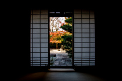 晩秋の光明院にて　Ⅴ