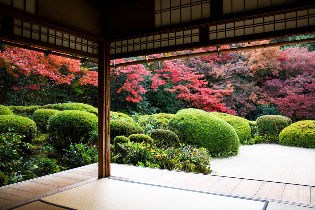 詩仙堂で紅葉を愛でる　Ⅱ