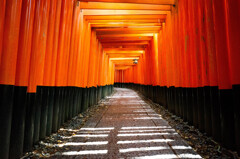 千本鳥居を進む　Ⅱ