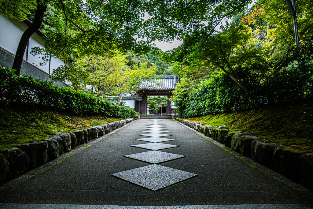 最勝院への参道