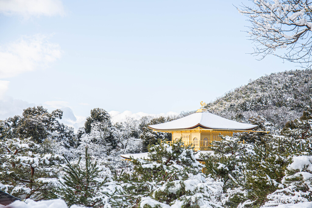 冬の金閣寺　Ⅲ