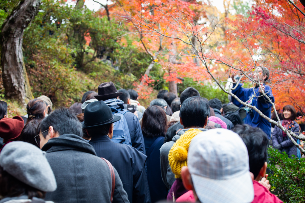 『紅葉を見るために･･･(T_T)』