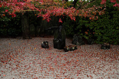 小さな枯山水の紅葉