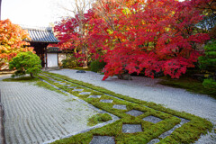 天授庵で愛でる紅葉　Ⅱ