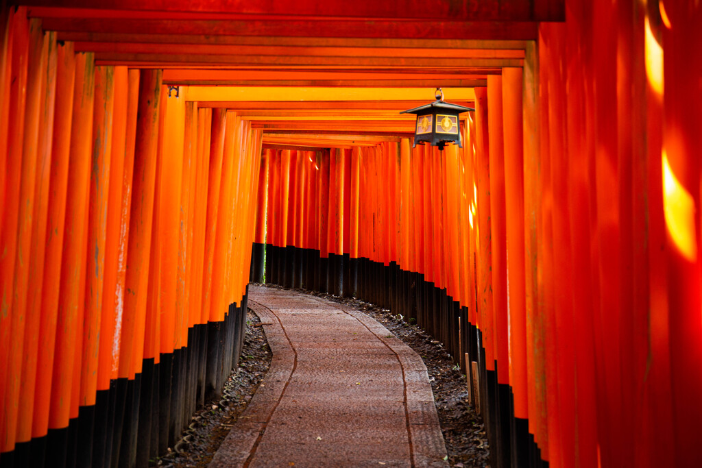 千本鳥居で　Ⅳ