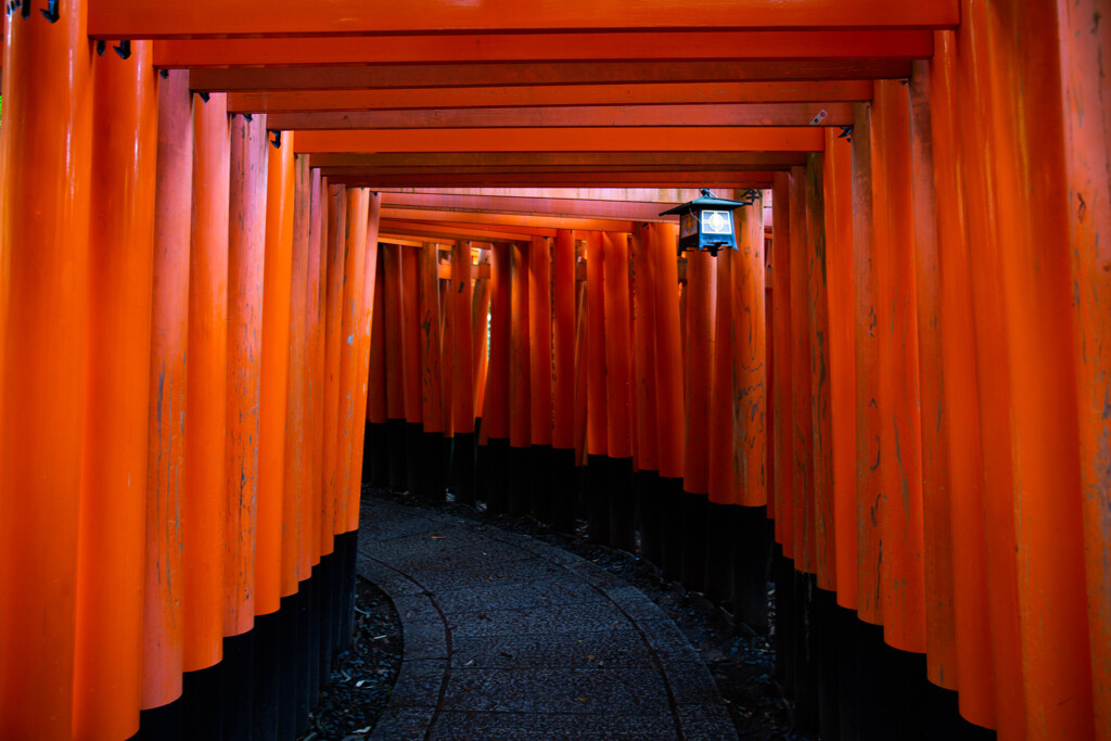 千本鳥居で　Ⅶ