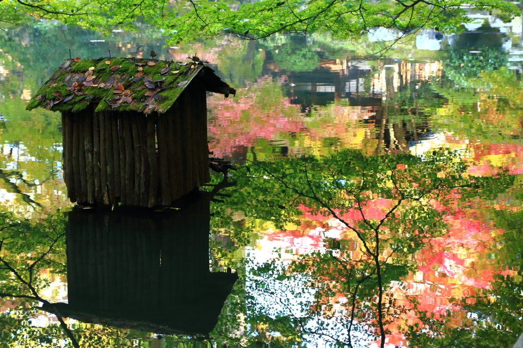 そうだ京都、行こう。･･の「天授庵」③