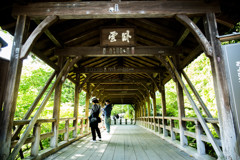 東福寺臥雲橋にて。