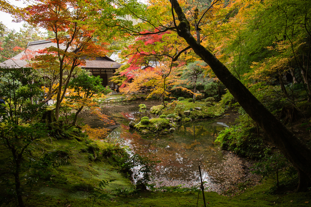 南禅寺南禅院にて　Ⅱ