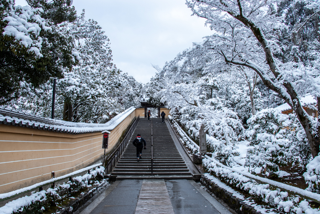 雪の金閣寺で。 ③