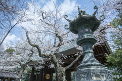 靖国神社にて。