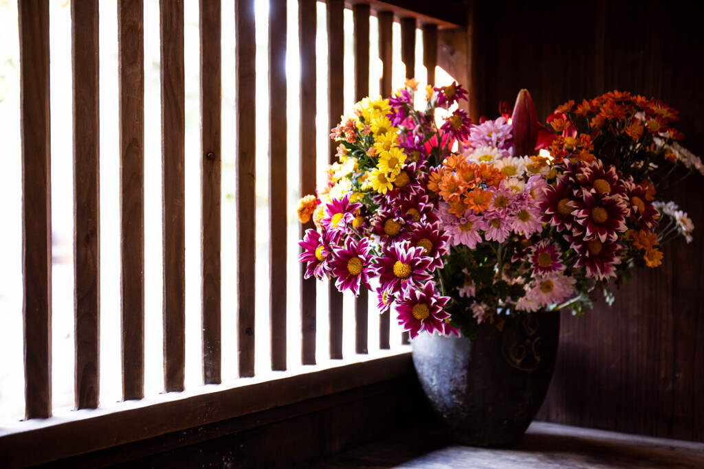 そこにある花