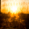 カーテン越しの夕陽