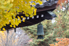 南禅寺法堂の風鐸