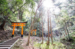 鳥居を登る。　Ⅱ