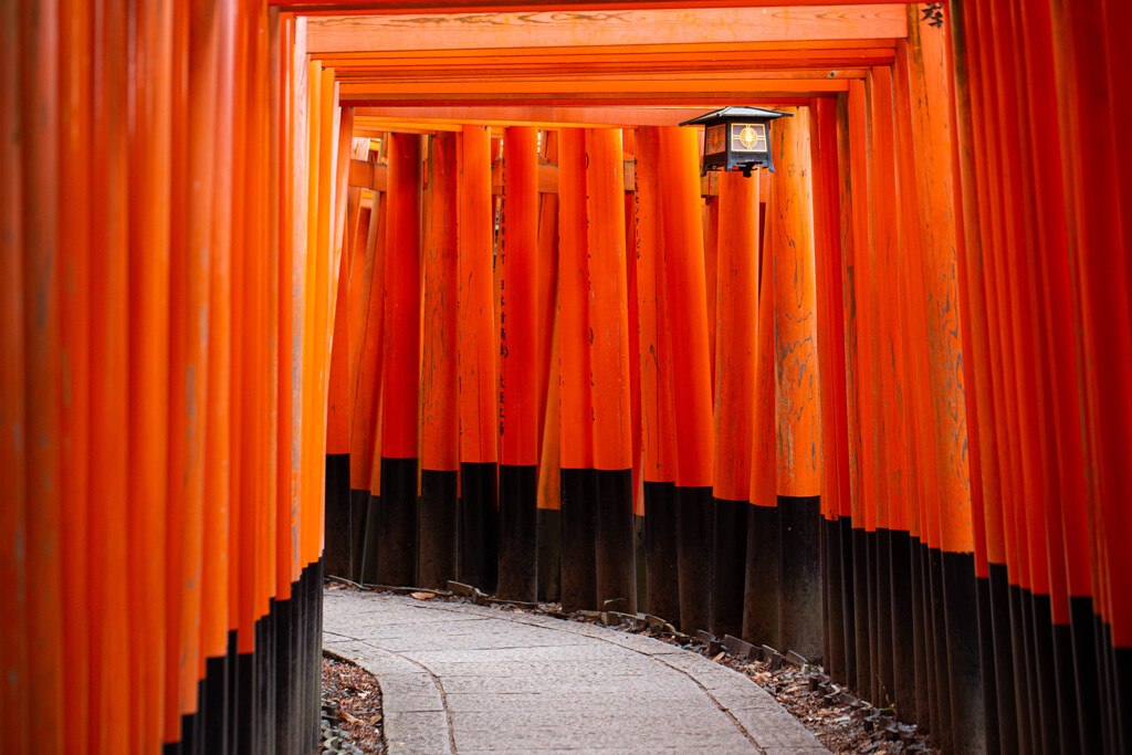 千本鳥居を撮る　Ⅳ