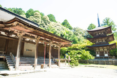 西明寺の本堂と三重塔