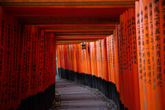 千本鳥居にて　Ⅲ