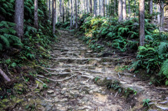 熊野詣　－熊野古道